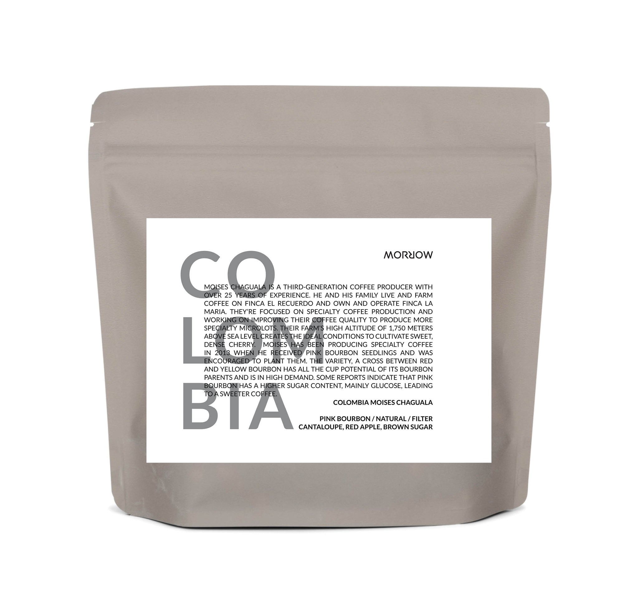 COLOMBIA MOISES CHAGUALA - FILTER