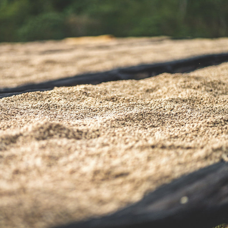 ETHIOPIA CHELBESA WOREDA - FILTER