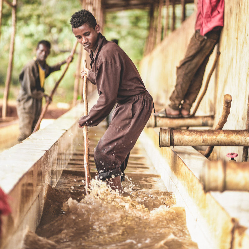 ETHIOPIA CHELBESA WOREDA - FILTER