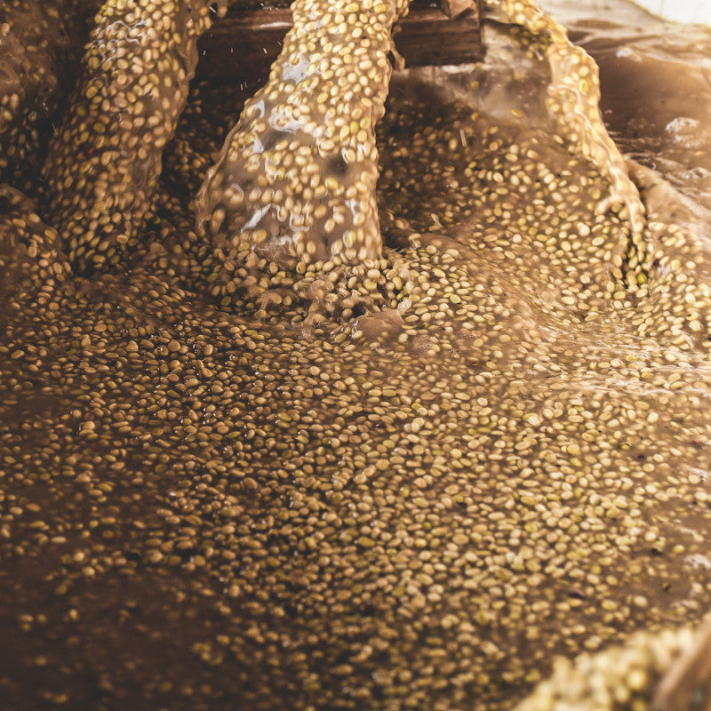 ETHIOPIA CHELBESA WOREDA - FILTER
