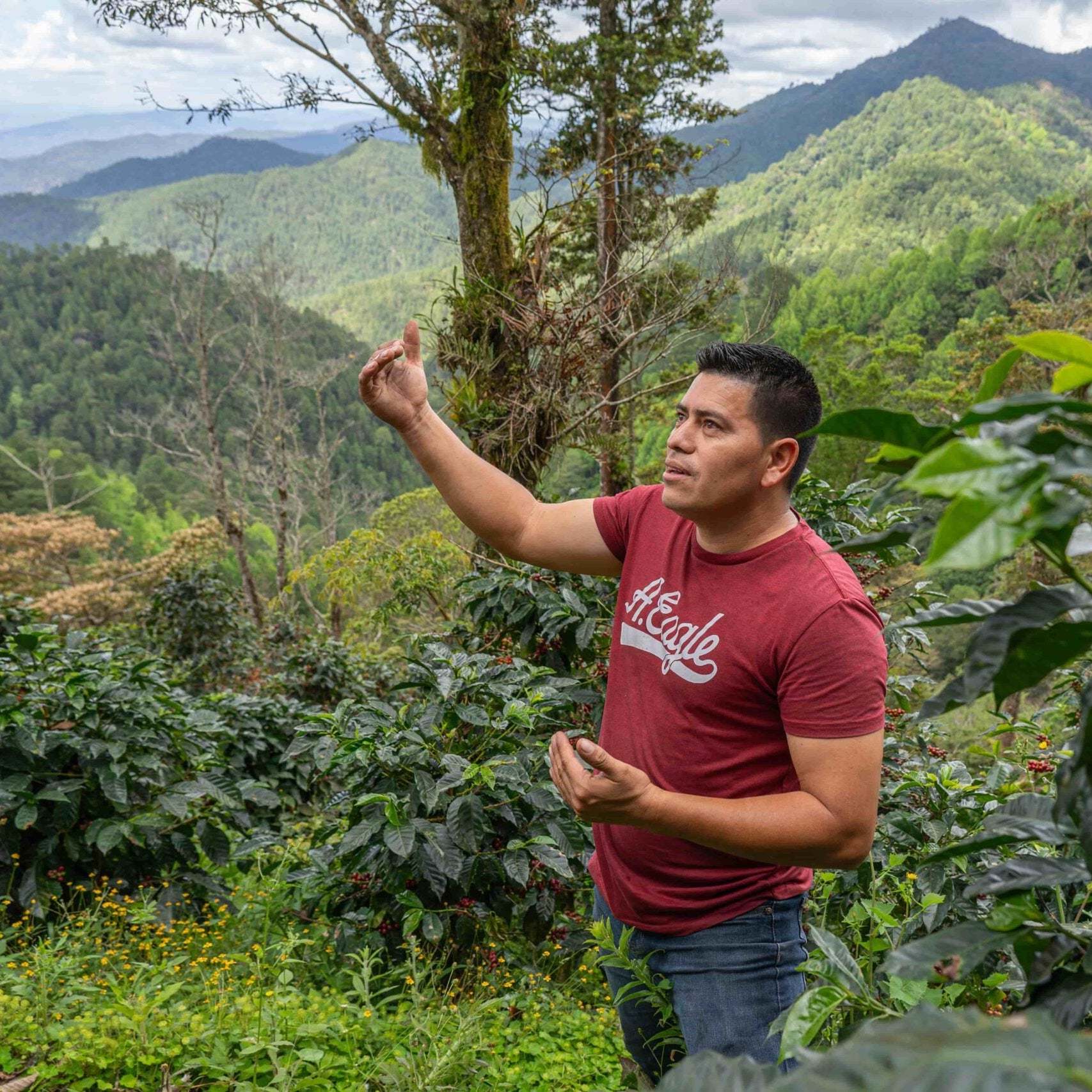 NICARAGUA DANNY PASTRANA - ESPRESSO (ANAEROBIC NATURAL)