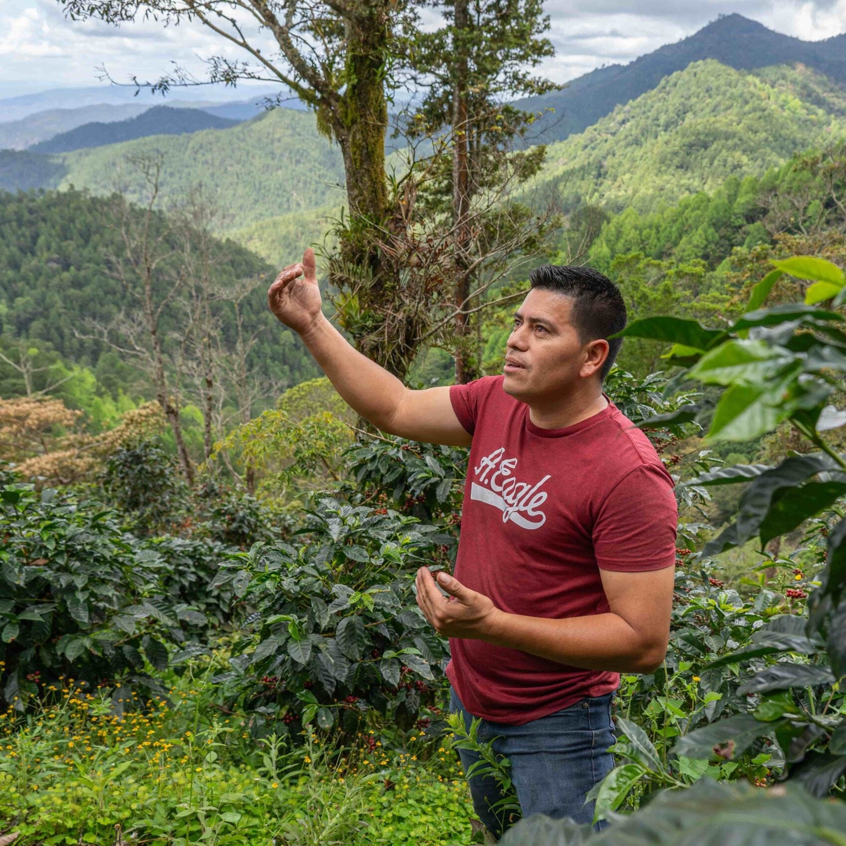 NICARAGUA DANNY PASTRANA - ESPRESSO (ANAEROBIC NATURAL)