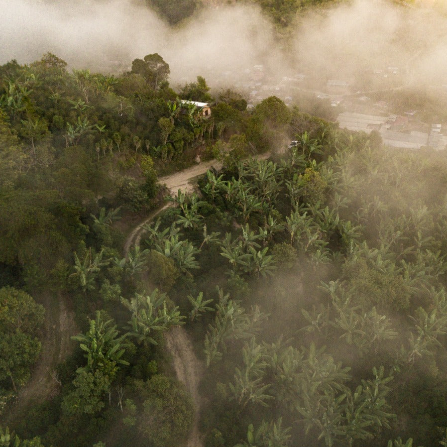 COSTA RICA ALBA - FILTER