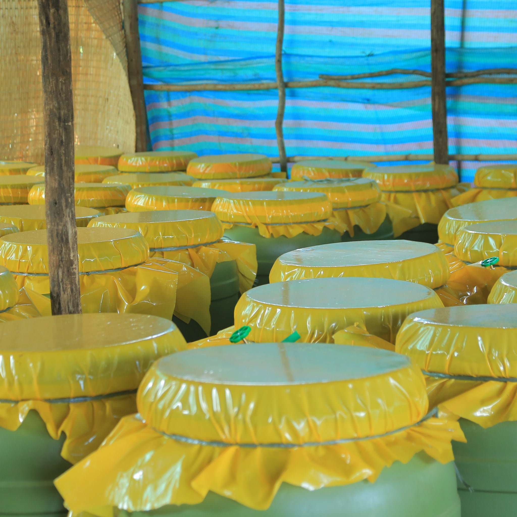 ETHIOPIA LALESA - FILTER (ANAEROBIC NATURAL)